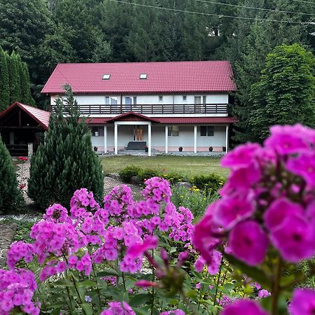 Vacation Villa Sucevita Esterno foto