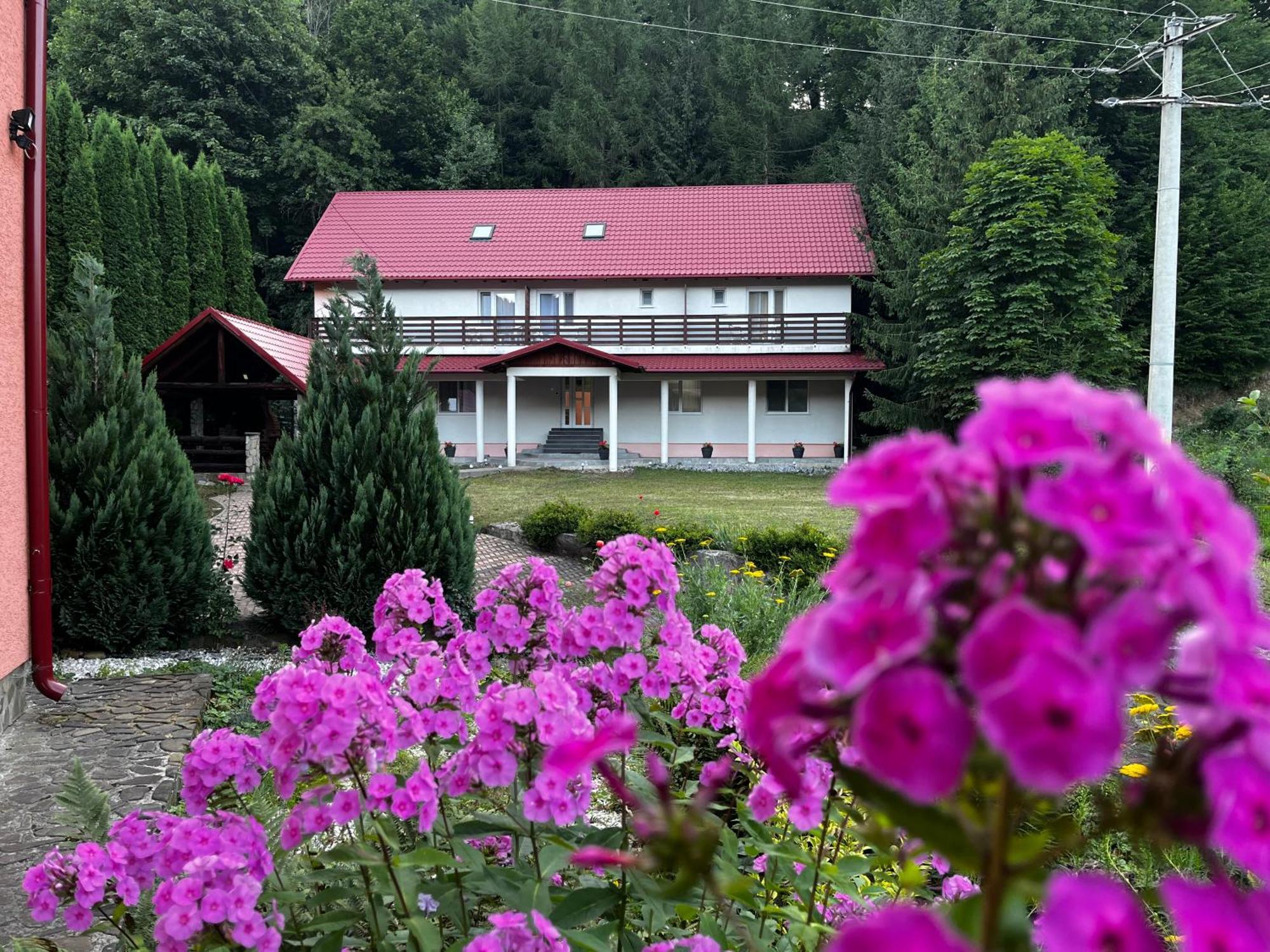 Vacation Villa Sucevita Esterno foto